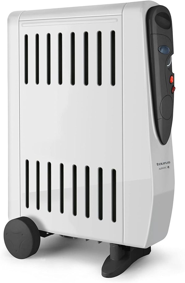BAIN D'HUILE  TUAREG 2000W - TAURUS