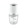 MINI HACHOIR RAYLAN 600ML 300W BOL EN VERRE