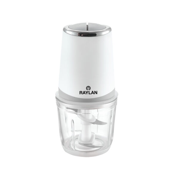 MINI HACHOIR RAYLAN 600ML 300W BOL EN VERRE