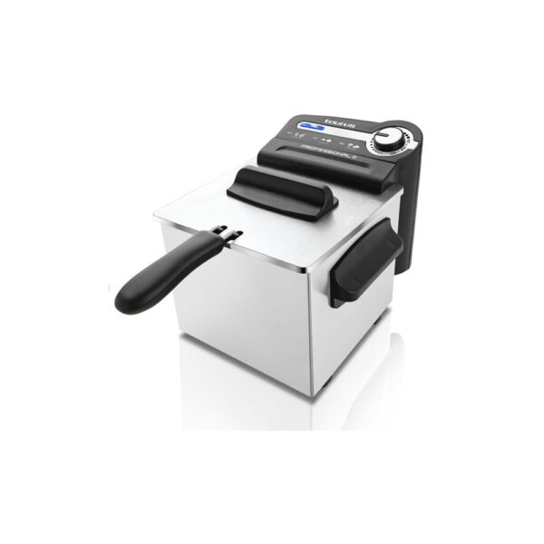 TAURUS - Friteuse professionnelle 2l 1700w - professional 2l - 973945